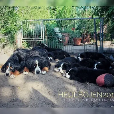 vom plietschen Klabautermann cover