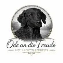 Ode an die Freude cover