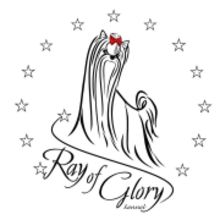 Ray of glory cover