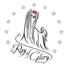 Ray of glory cover
