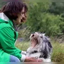 PON von der Musenburg cover