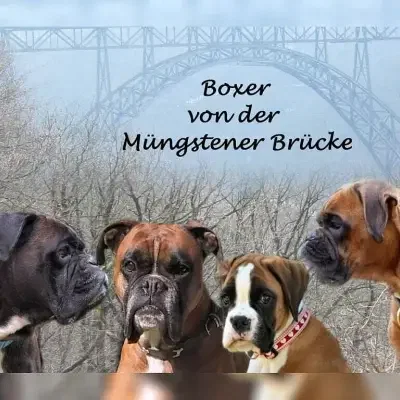 von der Müngstener Brücke cover