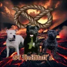 of Hellstaff's cover