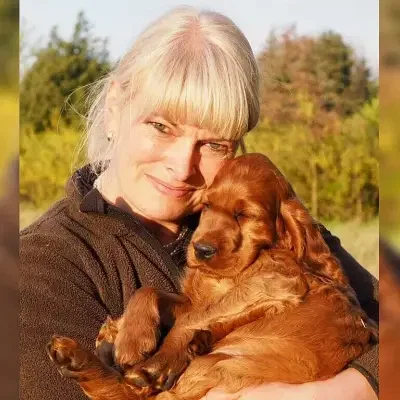 Charming Vagabonds cover