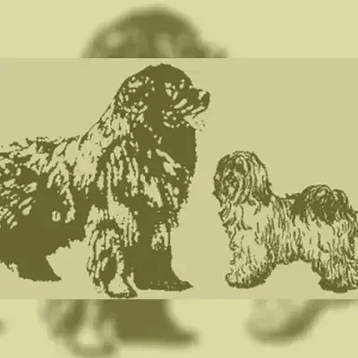 von der Bären-Ranch cover