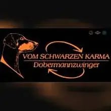 vom Schwarzen Karma cover