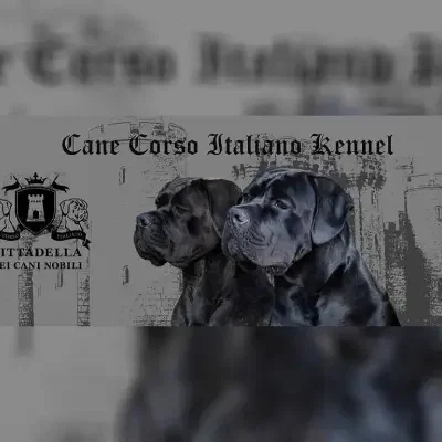 Cittadella dei Cani Nobili cover