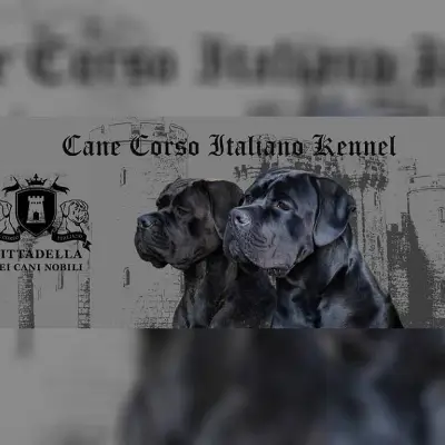 Cittadella dei Cani Nobili cover