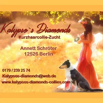 Kalypso’s diamonds cover