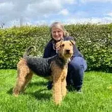 Draco de Wilon cover