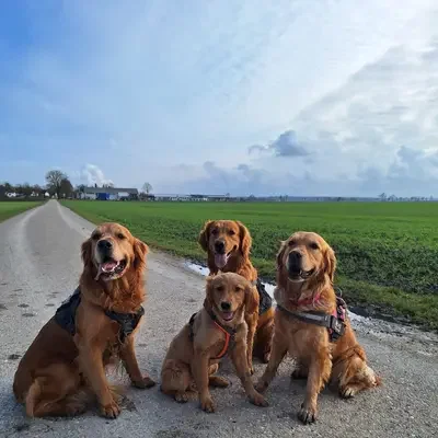 von der Mountainfielder Dog-Ranch cover