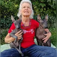 de los Viringuitos Lindos cover