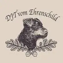 vom Ehrenschild cover