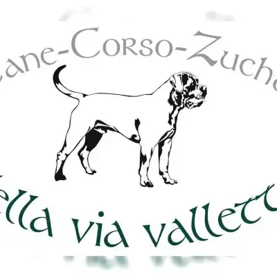 della via valletta cover