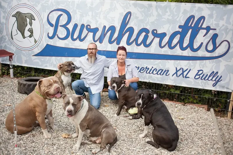 Burnhardt's American XXL Bully main gallery image