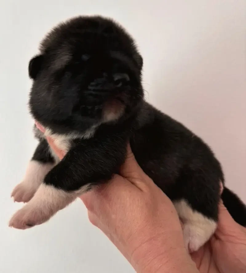 Brienne main gallery image