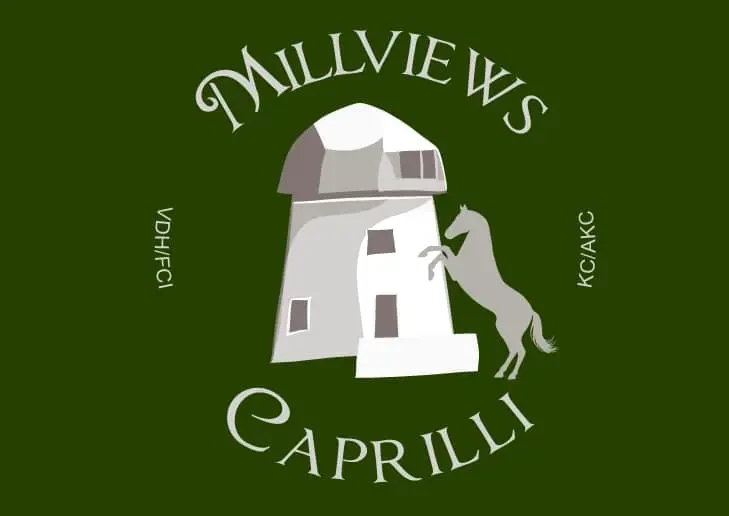 Millviews, Hobbyzucht im VDH main gallery image