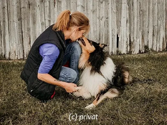 Collies vom Kath'lberg main gallery image