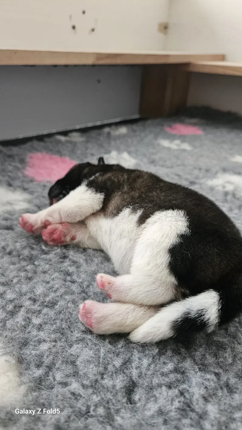 Berq main gallery image