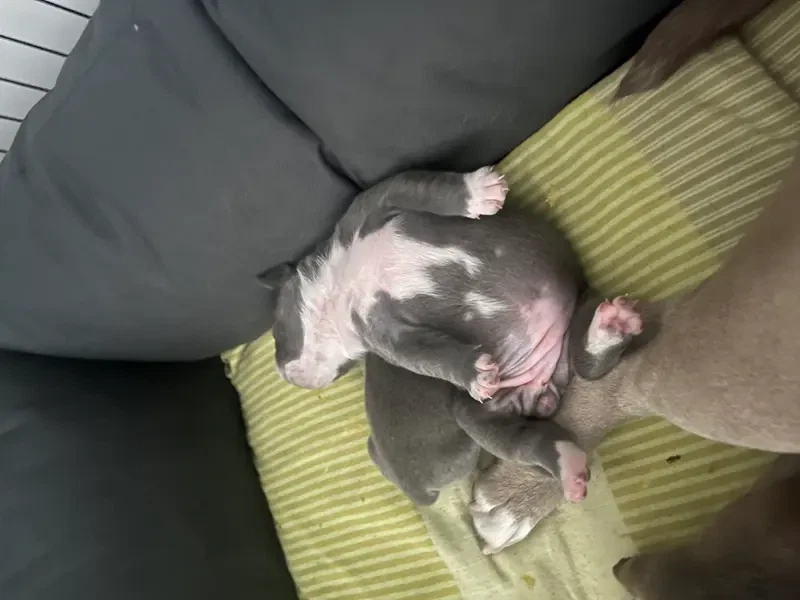 Carla main gallery image