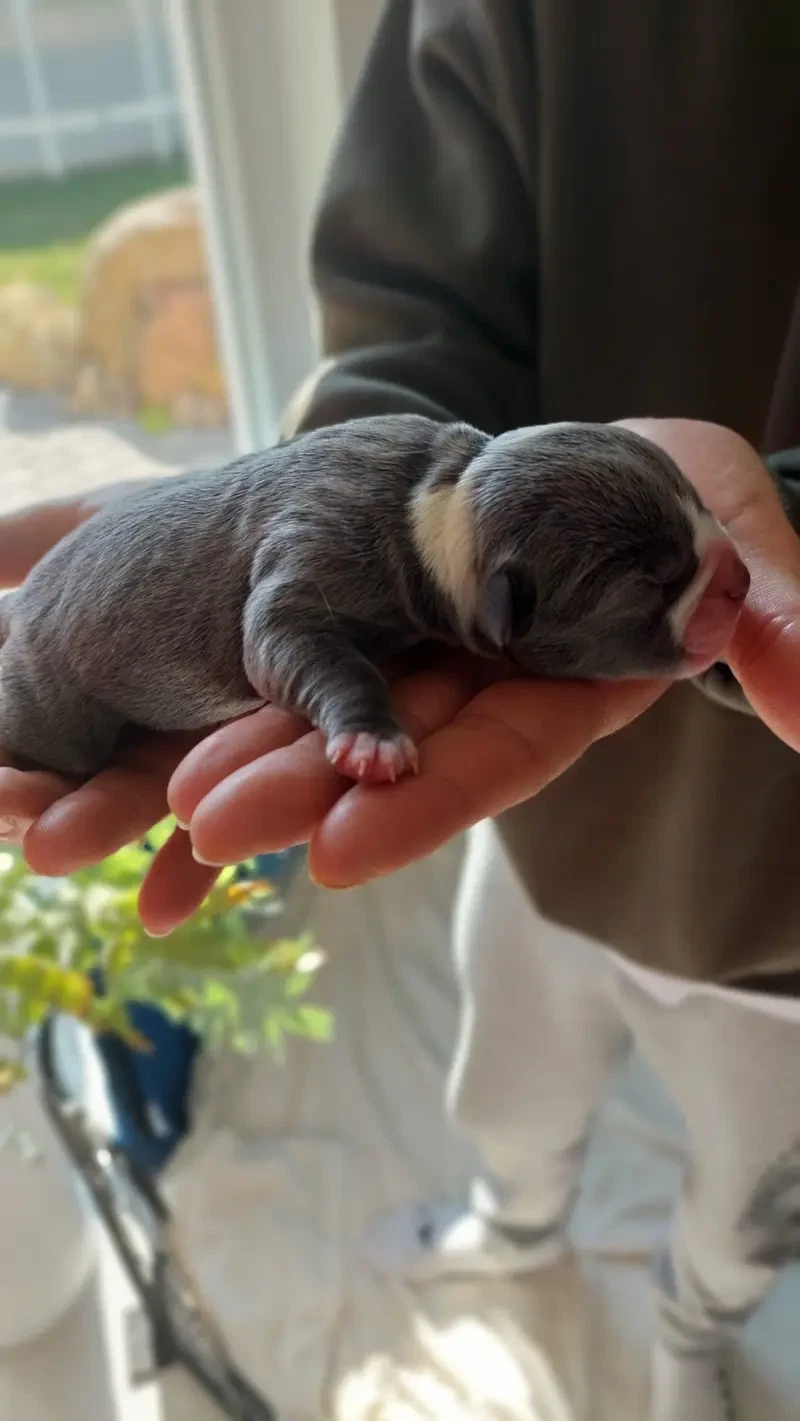 Clara main gallery image