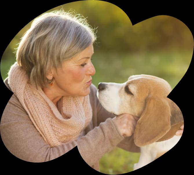 Labrador Retriever breeder with puppies