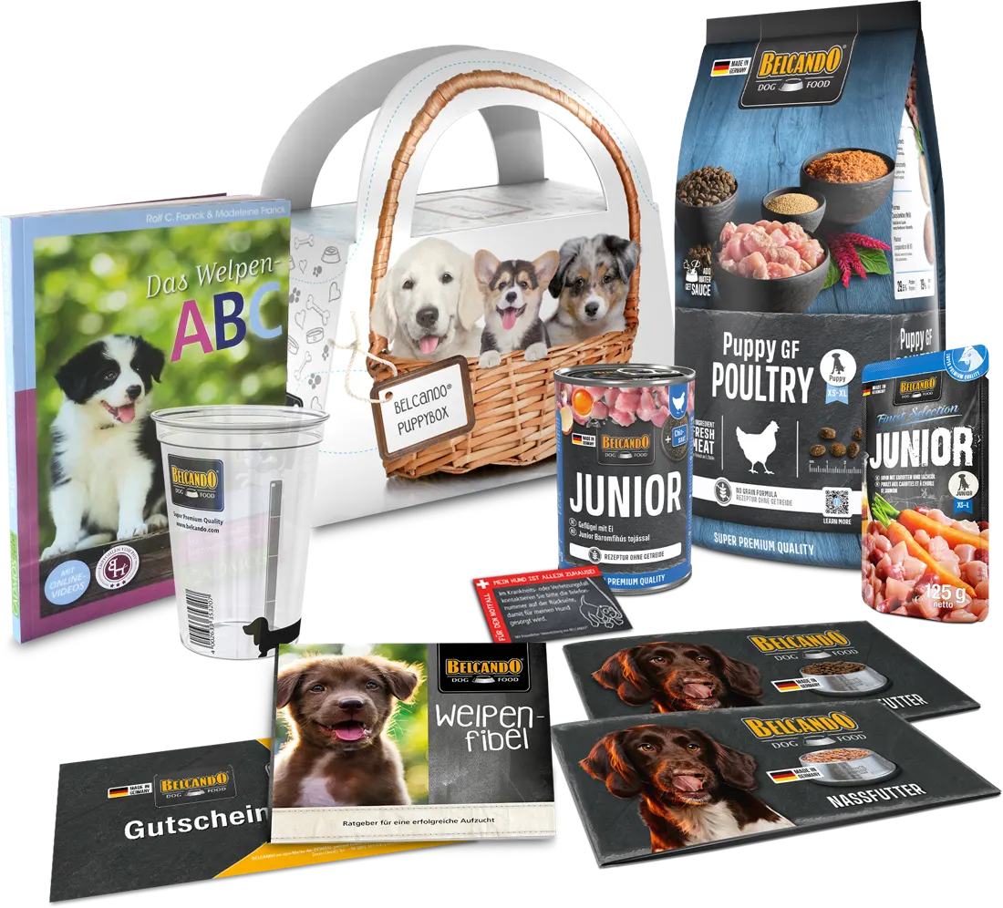 BELCANDO puppy box – free via HonestDog BELCANDO puppy box – free via HonestDog