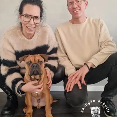 Bachgau_B_Bulls LIEBHABER Zucht