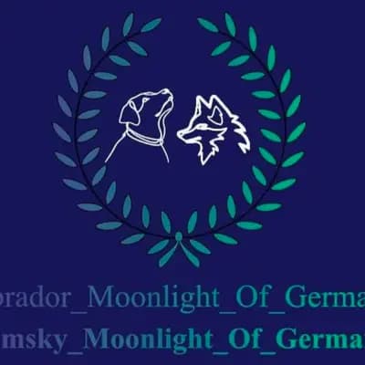 Moonlight_of_Germany