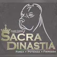 Sacra Dinastia cover