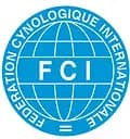 Amias – Whippet Welpe, Bremen, Aufgezogen von Bella Bambini