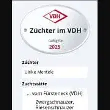 vom Fürsteneck cover