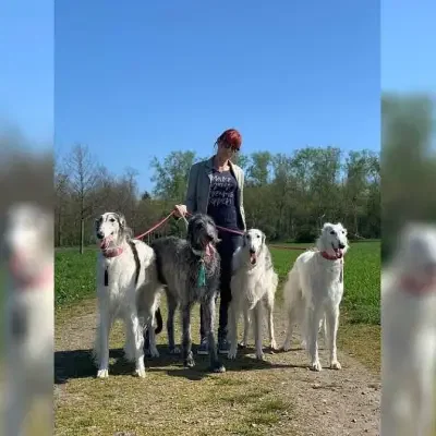von Alshamina cover