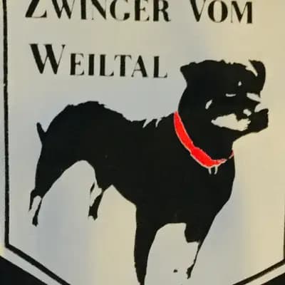 Rottweilerzwinger vom Weiltal