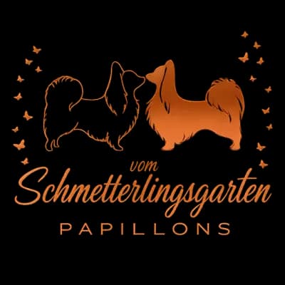 Papillons vom Schmetterlingsgarten