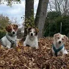 von der Ruhrhalbinsel cover