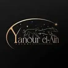 Yanour el-Ain cover