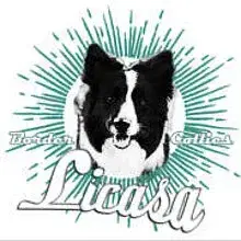 Licasa cover