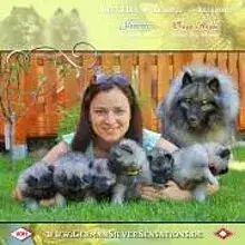 German Silver Sensations cover