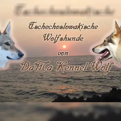von Da Ma Kennel Wolf cover