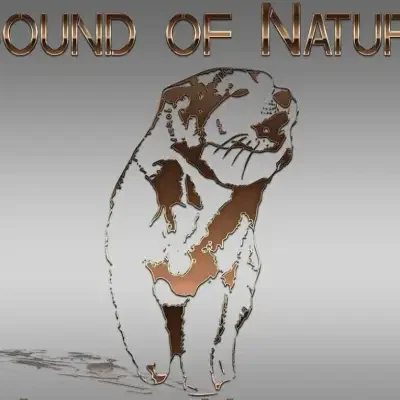 Sound of Nature cover
