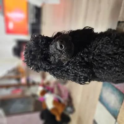 Emma