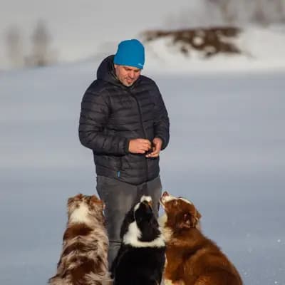 Aussies of Georgmountain