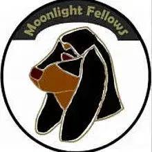 from Moonlight Fellows cover