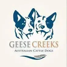 Geese Creek’s cover