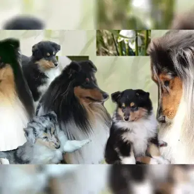 Lenßen und Partner cover