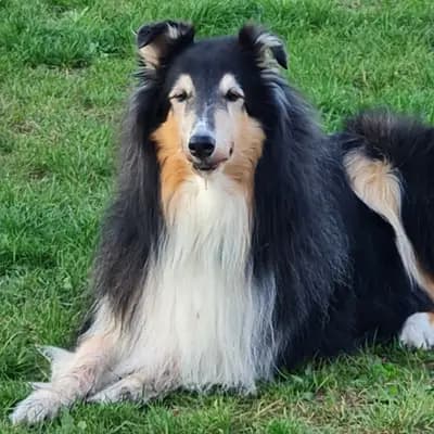 Kathrin