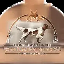 Zwinger vom Kastanjenboom cover