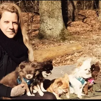Chihuahuas von den Hellbergen cover