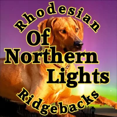 Of Northern Lights
